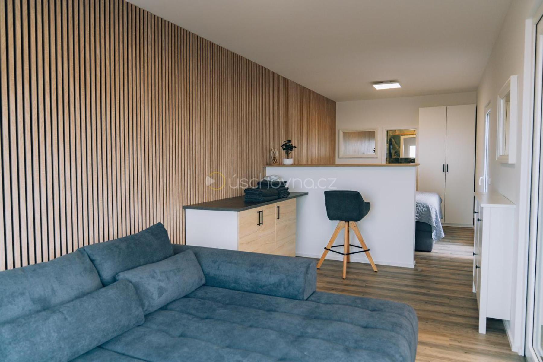 Airport Luxury Apartment & Spa 布拉格 客房 照片